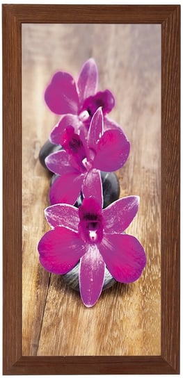 Plakat w brązowej ramie, 30x70 cm- Orchid 5 POSTERGALERIA