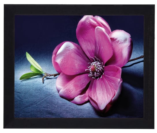 Plakat w czarnej ramie, 20x25 cm- Flower 10 POSTERGALERIA