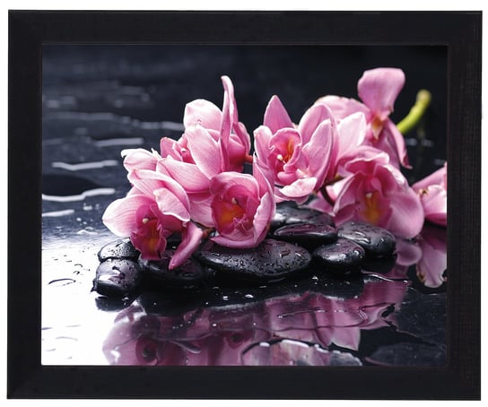 Plakat w czarnej ramie, 20x25 cm- Flower 6 POSTERGALERIA