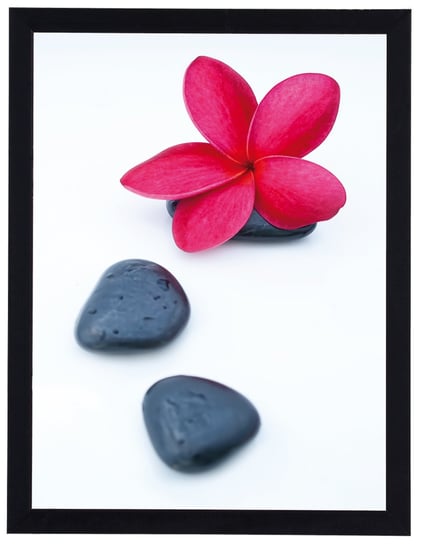 Plakat w czarnej ramie, 30x40 cm- Flower and stone 7 POSTERGALERIA