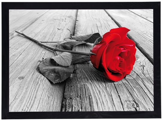 Plakat w czarnej ramie, 50x70 cm- Rose 2 POSTERGALERIA