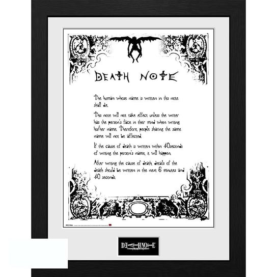 Plakat w ramce DEATH NOTE - "Death Note" (30x40 cm) Death Note