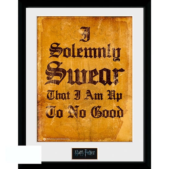 Plakat w ramce HARRY POTTER - "I Solemnly Swear" (30x40 cm) GB eye