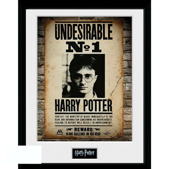 Plakat w ramce HARRY POTTER - "Undesirable No 1" (30x40 cm) GB eye