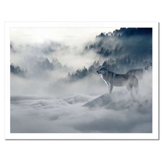 Plakat w ramie 40x30 Wilki w naturze ZeSmakiem