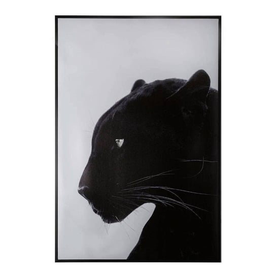 Plakat w ramie, 61 x 91 cm, czarna pantera Atmosphera