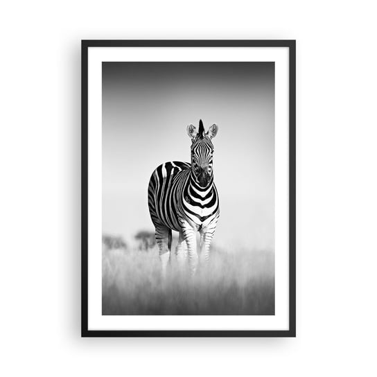 Plakat w ramie Arttor A jednak świat jest czarno-biały - 50x70 cm - Plakat w czarnej ramie - Zwierzęta, Zebra, Czarno-Biały, Safari, Afryka - P2BPA50x70-4476 ARTTOR