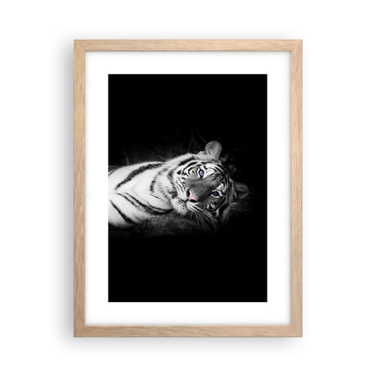 Plakat w ramie Arttor Dzikość i spokój - 30x40 cm - Plakat w ramie jasnego dębu - Tygrys Biały, Tygrys, Zwierzęta, Natura, Czarno-Biały - P2NPA30x40-4247 ARTTOR