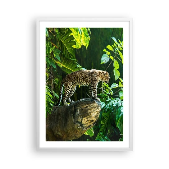 Plakat w ramie Arttor Na łowy? - 50x70 cm - Plakat w białej ramie - Dżungla, Lampart, Tropiki, Zwierzęta, Natura - P2WPA50x70-4502 ARTTOR