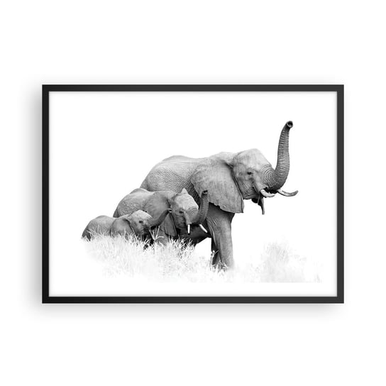 Plakat w ramie Arttor Raz, dwa, trzy - 70x50 cm - Plakat w czarnej ramie - Zwierzęta, Słoń, Czarno-Biały, Afryka, Rodzina - P2BAA70x50-4374 ARTTOR