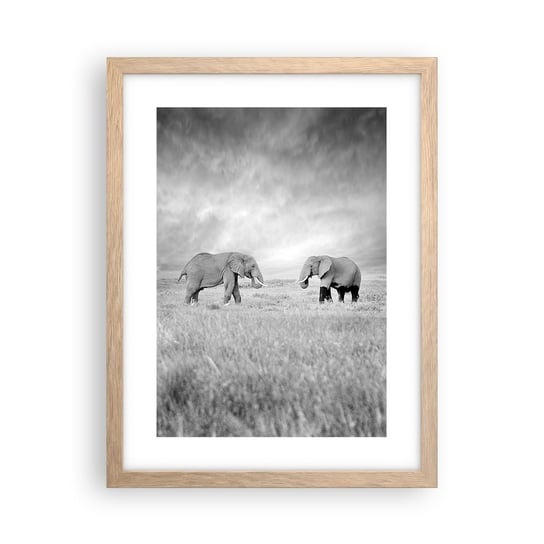 Plakat w ramie Arttor Szare jest piękne - 30x40 cm - Plakat w ramie jasnego dębu - Słoń, Zwierzęta, Safari, Afryka, Natura - P2NPA30x40-4186 ARTTOR