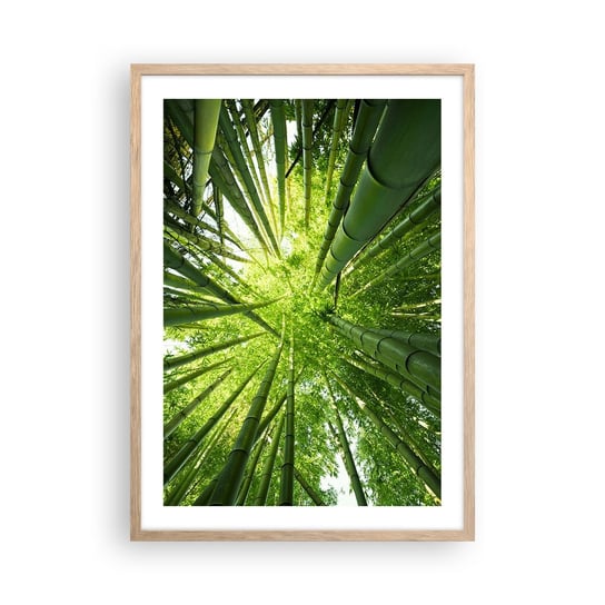Plakat w ramie Arttor W bambusowym gaju - 50x70 cm - Plakat w ramie jasnego dębu - Las Bambusowy, Dżungla, Bambus, Natura, Japonia - P2NPA50x70-4235 ARTTOR
