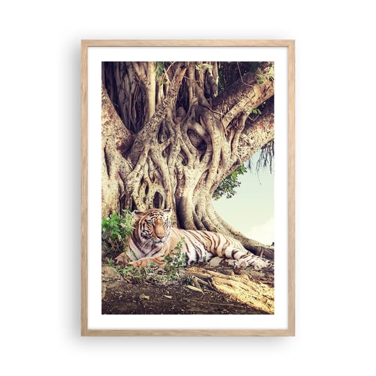 Plakat w ramie Arttor Widok z Księgi Rodzaju - 50x70 cm - Plakat w ramie jasnego dębu - Tygrys Bengalski, Indie, Krajobraz, Natura, Drzewo - P2NPA50x70-5124 ARTTOR