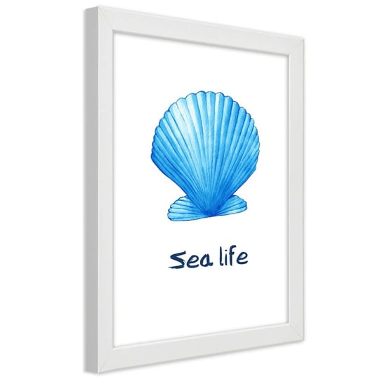 Plakat w ramie białej, Błękitna muszla z napisem Morskie życie 30x45 Feeby