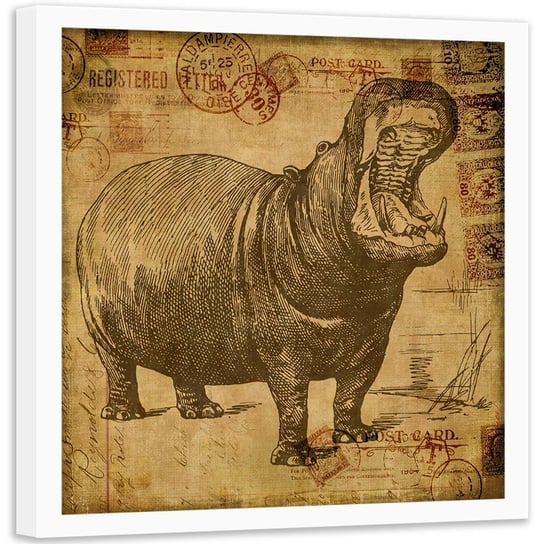 Plakat w ramie białej FEEBY Afrykański hipopotam, 40x40 cm Feeby