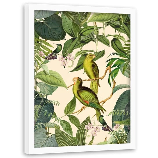 Plakat w ramie białej FEEBY Egzotyczne ptaki, 50x70 cm Feeby