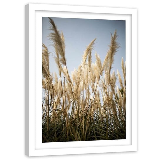 Plakat w ramie białej Feeby,  Gęsta trawa natura 21x30 cm Feeby