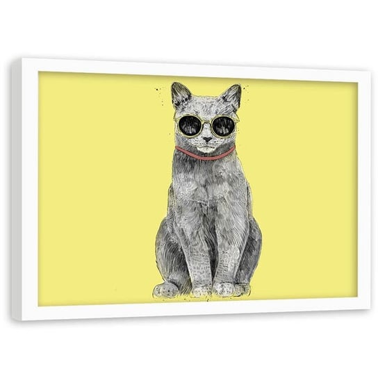 Plakat w ramie białej Feeby,  Kot ubrany w okulary 100x70 cm Feeby