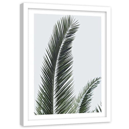 Plakat w ramie białej Feeby,  Natura palma liście 21x30 cm Feeby