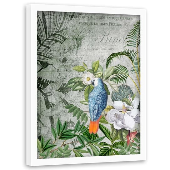 Plakat w ramie białej FEEBY Niebieska papuga, 50x70 cm Feeby