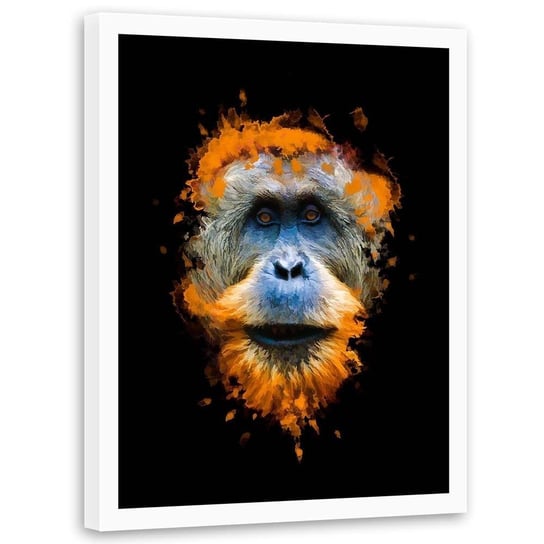 Plakat w ramie białej FEEBY Orangutan, 50x70 cm Feeby