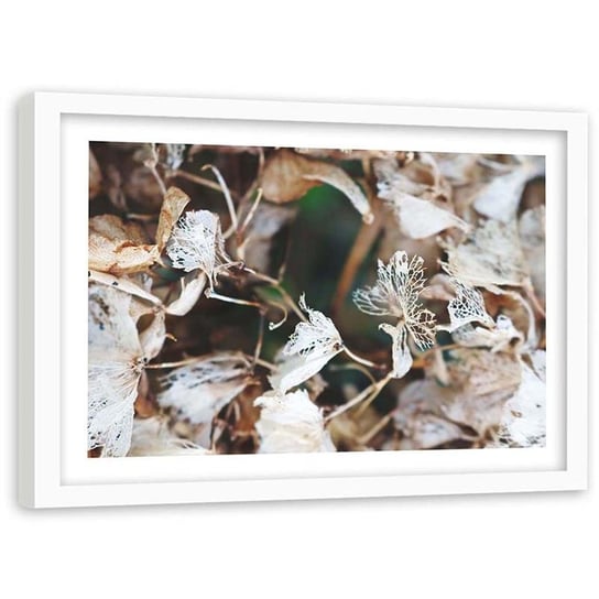 Plakat w ramie białej Feeby,  Roślina z suchymi liśćmi 90x60 cm Feeby