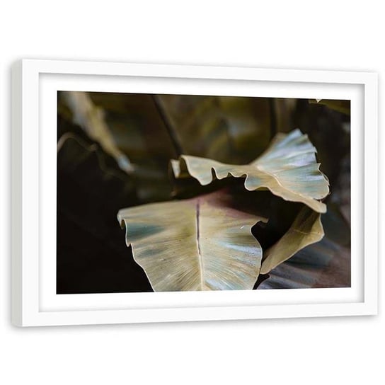 Plakat w ramie białej Feeby, Tropikalna roślina 40x30 cm Feeby