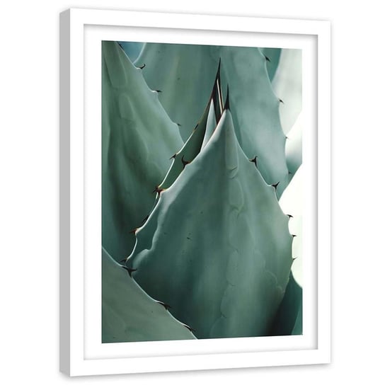 Plakat w ramie białej Feeby,  Zbliżenie Agawa roślina 60x90 cm Feeby