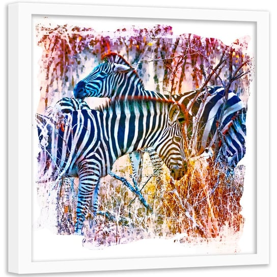 Plakat w ramie białej FEEBY Zebry na kolorowym tle, 60x60 cm Feeby
