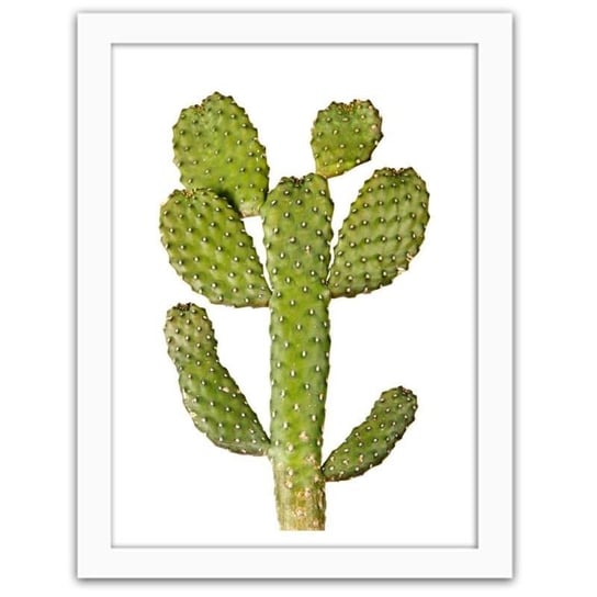Plakat w ramie białej FEEBY, Zielony kaktus, 21x29,7 cm Feeby
