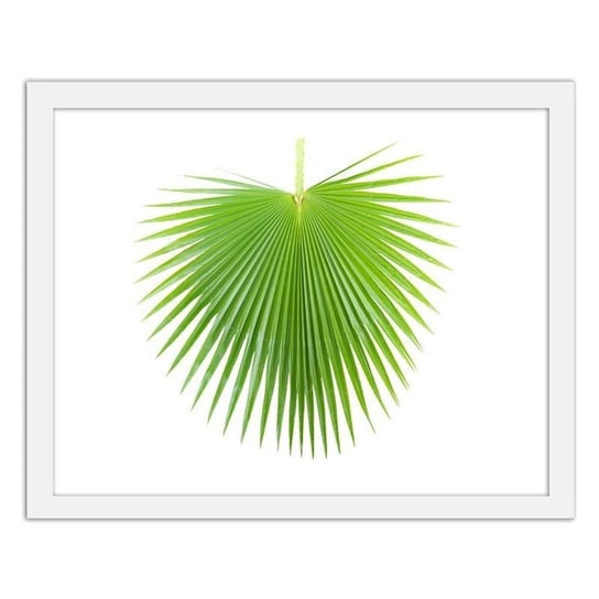 Plakat w ramie białej FEEBY, Zielony liść palmy, 29,7x21 cm Feeby