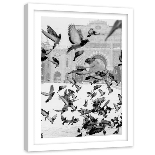 Plakat w ramie białej Feeby,  Zima gołębie brama w tle 21x30 cm Feeby