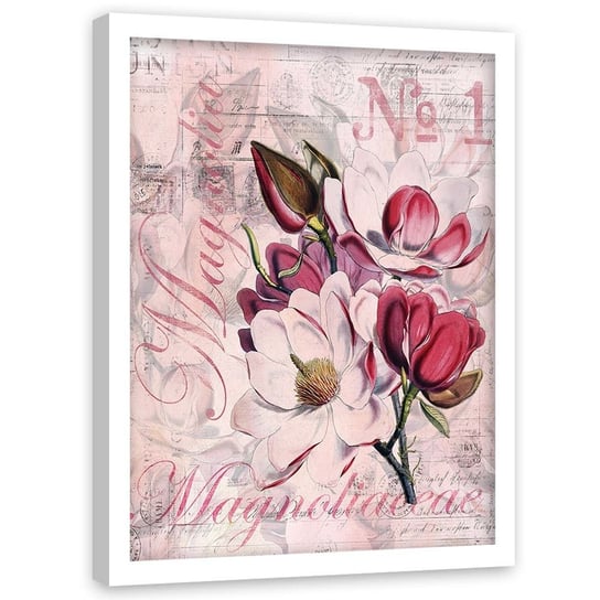 Plakat w ramie białej, Magnolia - 70x100 Feeby