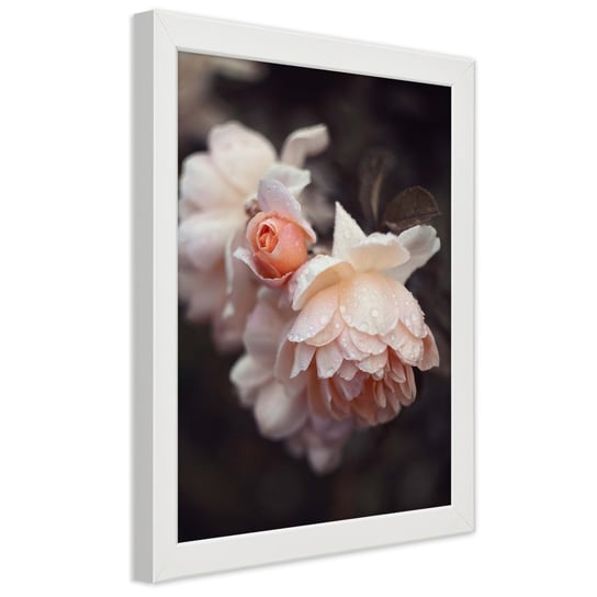 Plakat w ramie białej, Makro fotografia kwiatów 30x45 Feeby