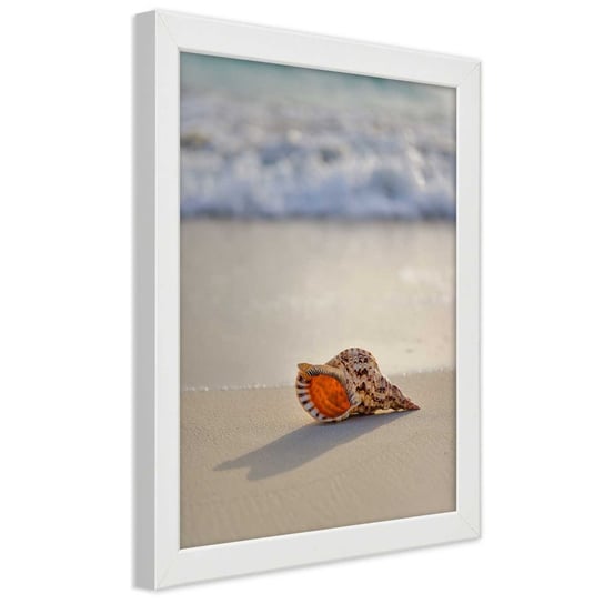Plakat w ramie białej, Muszelka na plaży 20x30 Feeby