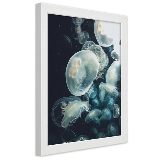 Plakat w ramie białej, Pływające meduzy 30x45 Feeby