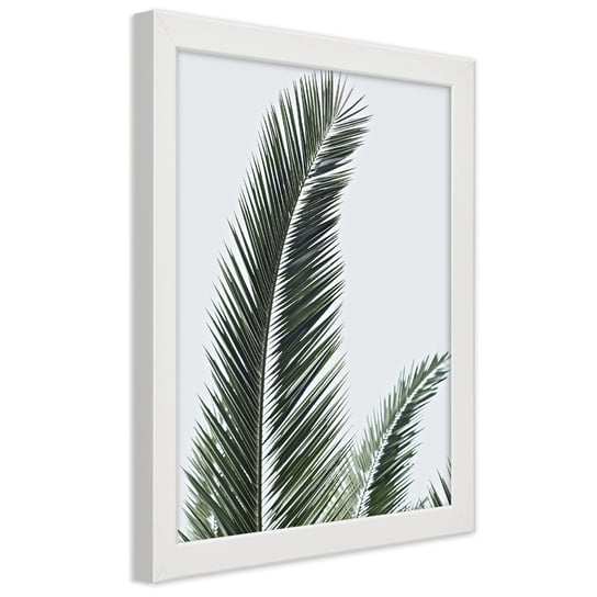 Plakat w ramie białej, Zbliżenie na palmowe liście 30x45 Feeby
