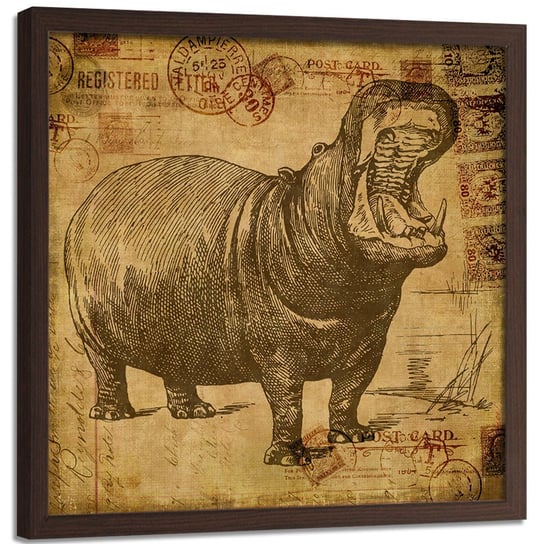 Plakat w ramie brązowej FEEBY Afrykański hipopotam, 40x40 cm Feeby