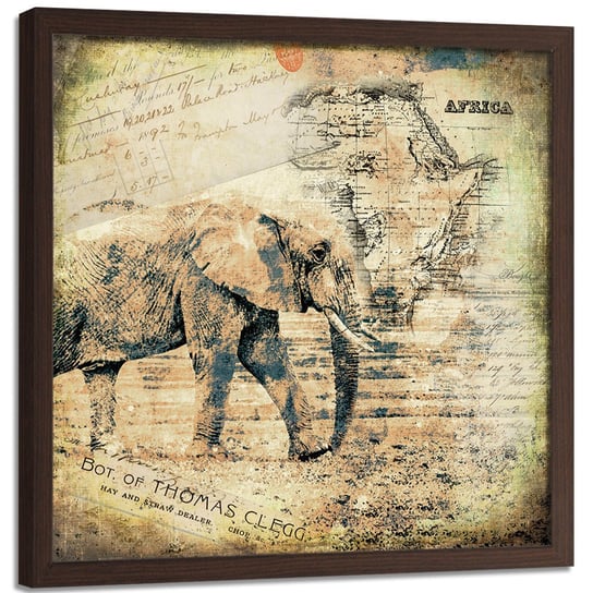 Plakat w ramie brązowej FEEBY Afrykanski słoń, 80x80 cm Feeby