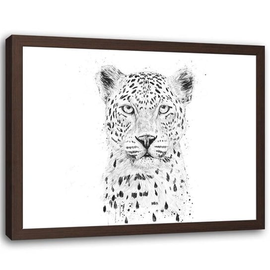 Plakat w ramie brązowej Feeby, Dzikie zwierzę szkic 60x40 cm Feeby