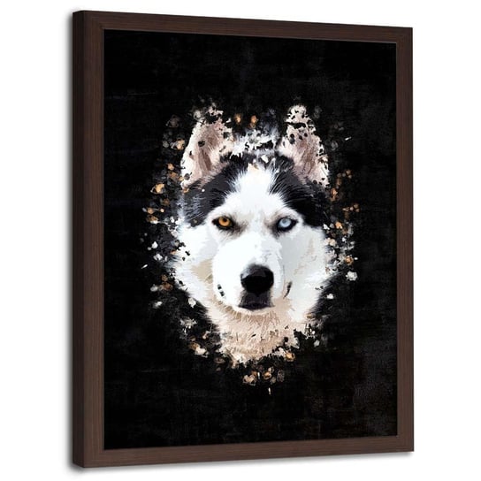 Plakat w ramie brązowej FEEBY Husky syberyjski, 70x100 cm Feeby