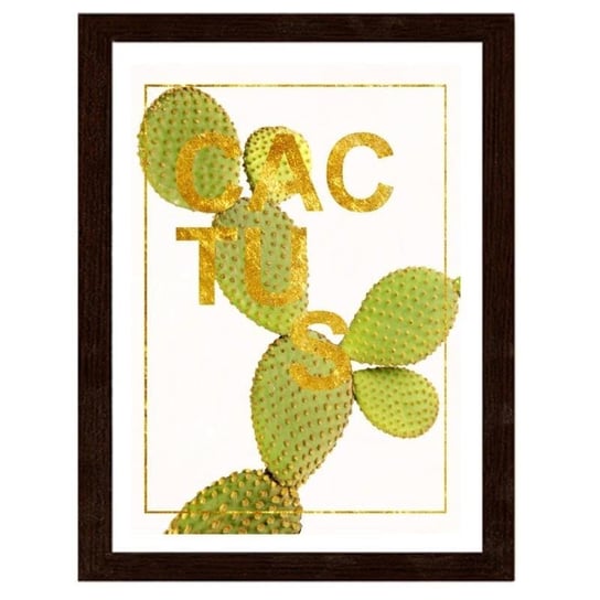 Plakat w ramie brązowej FEEBY Kaktus 2, 60x90 cm Feeby