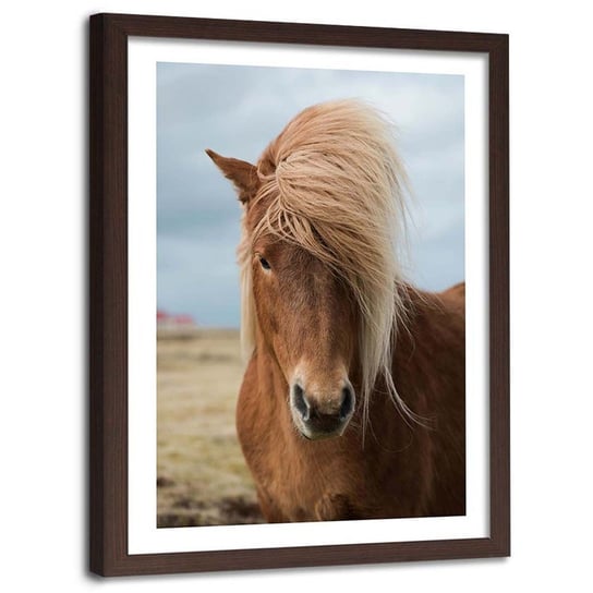 Plakat w ramie brązowej Feeby, Koń z długą grzywą 13x18 cm Feeby