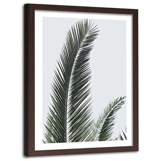 Plakat w ramie brązowej Feeby, Liście palmowe natura 40x50 cm Feeby