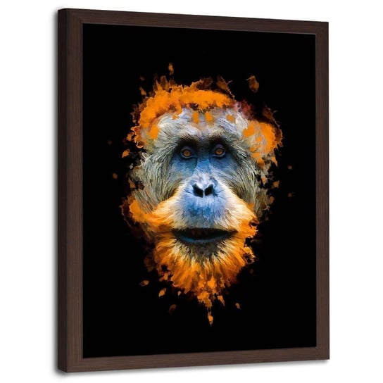 Plakat w ramie brązowej FEEBY Orangutan, 50x70 cm Feeby