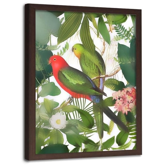 Plakat w ramie brązowej FEEBY Papugi w liściach, 50x70 cm Feeby