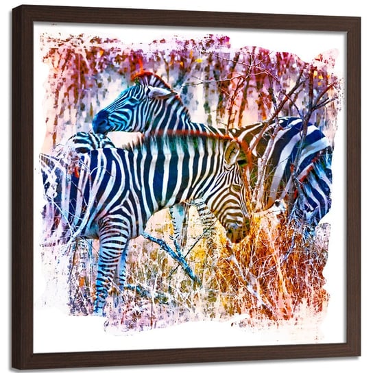 Plakat w ramie brązowej FEEBY Zebry na kolorowym tle, 40x40 cm Feeby