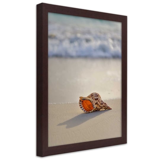 Plakat w ramie brązowej, Muszelka na plaży 70x100 Feeby
