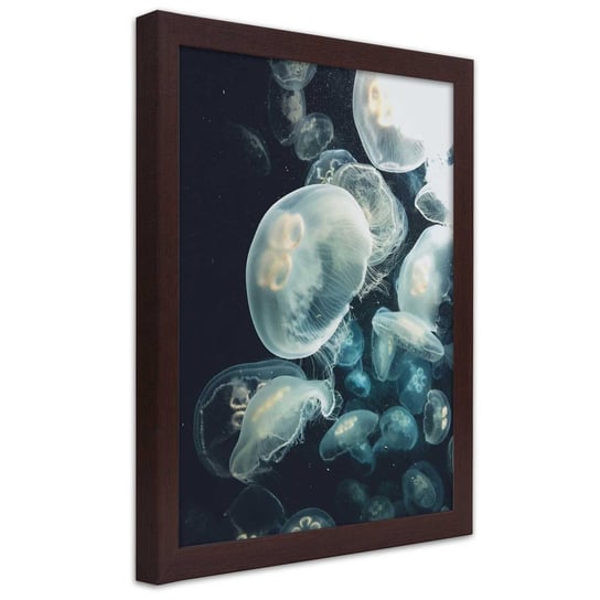 Plakat w ramie brązowej, Pływające meduzy 30x45 Feeby