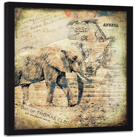 Plakat w ramie czarnej FEEBY Afrykanski słoń, 60x60 cm Feeby